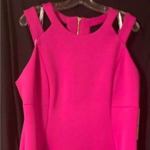 Beautiful fuchsia dress with gold zipper!